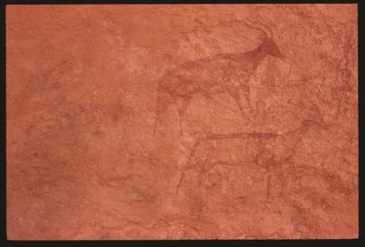 Cows by Prehistoric